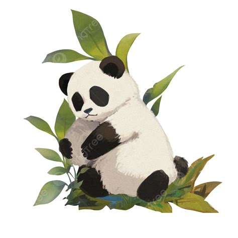 Ilustração Fofa De Panda Dormindo Png Panda Panda Sonolento