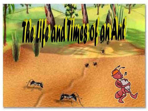 Ppt The Life And Times Of An Ant Powerpoint Presentation Free