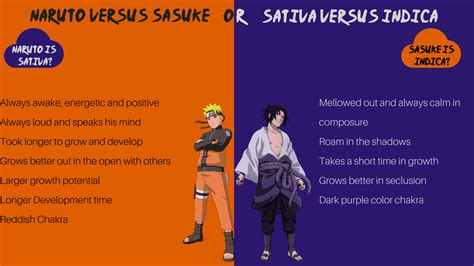 Naruto Vs Sasuke Who Is Better