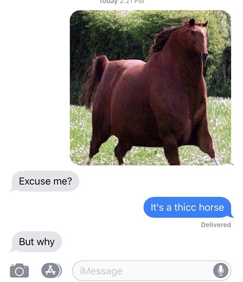 Thicc Horse Rmemes