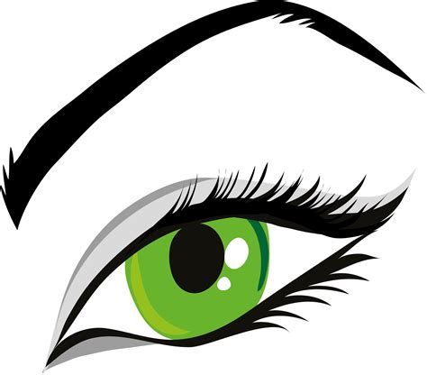 Eyebrow Clipart Lady Eye Eyebrow Lady Eye Transparent Free For