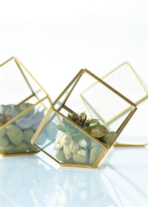 Buy Afloral Hira Glass Geometric Terrarium Container In Gold 3 5 Tall Online At Low Prices In