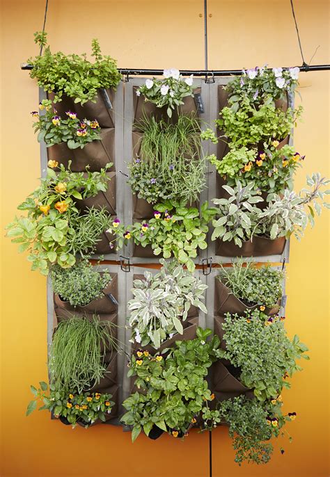 Vertical gardens come in many shapes, sizes and configurations. Vertical Garden: DIY Vertical Garden Ideas and More | Real ...