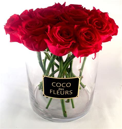 Coco Des Fleurs Real Roses Lasting All Year Preserved Rose Coco Des