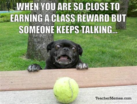 Pin By Hannah Tappan On Classroom Teacher Humor Teacher Memes Funny
