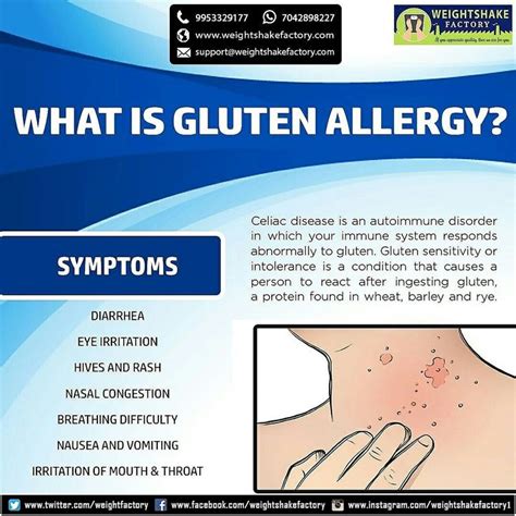 What Is Gluten Allergy Pbypafpwdlb3