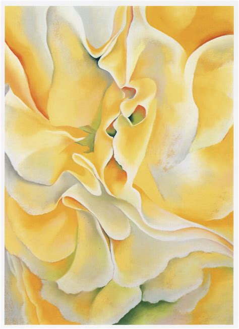 While some critics saw a morbid fascination with death in works like horse's skull with pink rose, or ascribed an inscrutable and personal symbolism to the astonishing vision presented in ram's head with hollyhock, o'keeffe maintained these paintings were as celebratory of life as her flowers. Kiss from a Rose: Georgia O'Keeffe