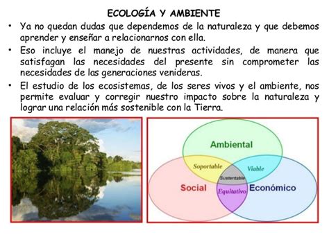 Medio Ambiente Y Desarrollo Social Diferencias Entre Ecosistema Y Ecología