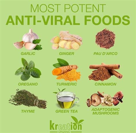 For herpes, the following foods may help with faster healing times and fewer outbreaks the second study, published in antiviral research in december 1997, examined the ability of an antioxidant compound which contained vitamin e, sodium. Pin by Mila on Health (mental +physical) | Anti viral ...