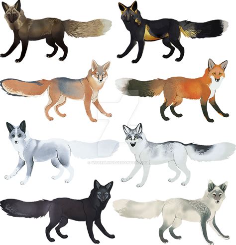 Fox Colors I By Witherlings On Deviantart