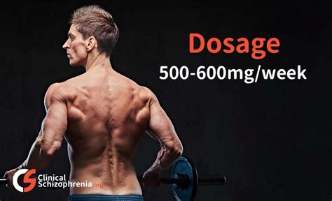 Equipoise Boldenone Undecylenate 6 Things You Must Be Aware Of