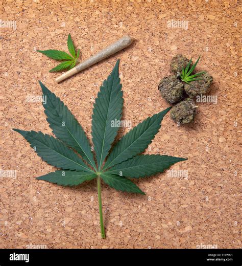 Detail Of Dried Cannabis Nugs Joint And Leaves Over Brown Background