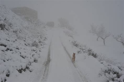 Murcia Today Heavy Snowfalls In Murcia Region Set To Continue On