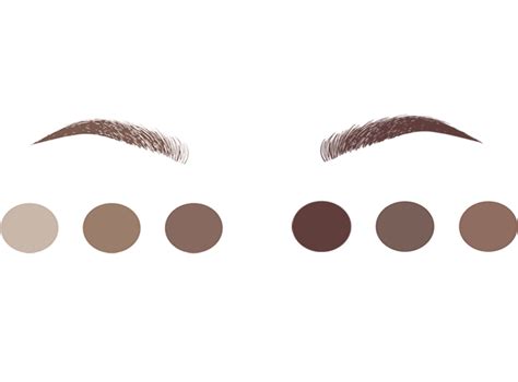 Eyebrow Png Clip Art Library