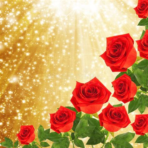 Red Rose With Green Leaves On The Gold Background Stock Photo Image