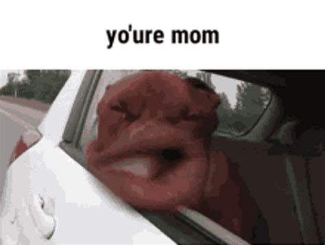 Your Mom Diss Bully Joke Meme