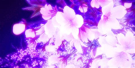 Animated gif about gif in ☆ ─ dark purple by lyric. Aesthetic lilac gifs | Anime Amino