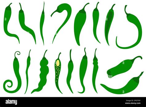 Collection Of Different Green Chili Peppers Isolated On White Stock