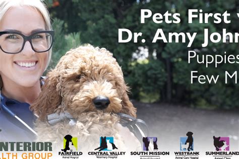 We are closed on sundays and most major holidays. South Mission Animal Hospital | Client-focused pet care