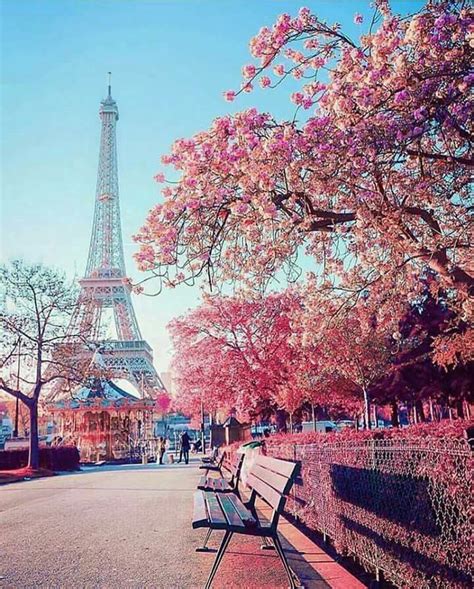 Paris De Manhã ️ Fotografia De Paris Fotografia De Paisagem Torre
