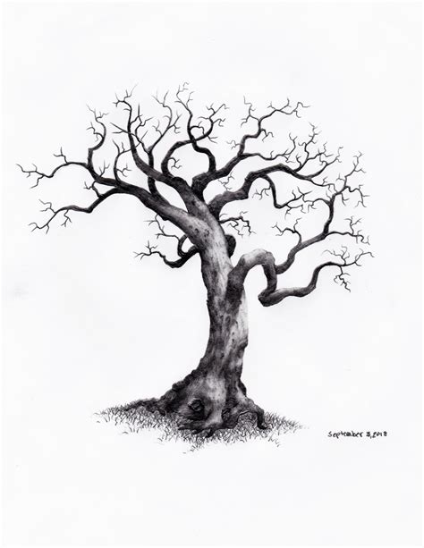Pencil Drawing Design Tree Sketches Oak Tree Drawings Tree Drawing