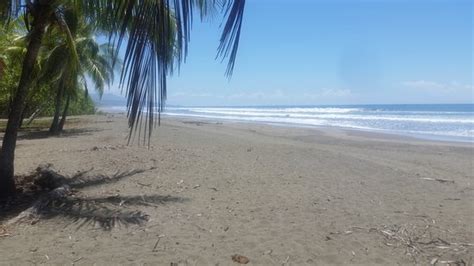 Playa Matapalo Quepos All You Need To Know Before You Go Updated