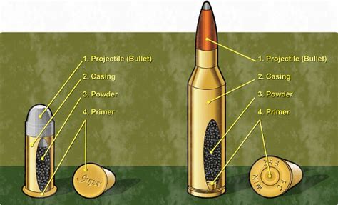 Diagram Bullet Cartridge Diagram Mydiagramonline