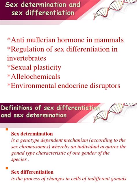 Lesson 8 Sex Determination Moodle Pdf Reproduction Endocrine System