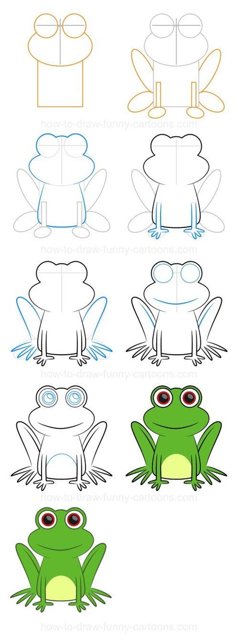 Step By Step Drawing Lessons Drawing Lessons Frog Drawing Easy Drawings