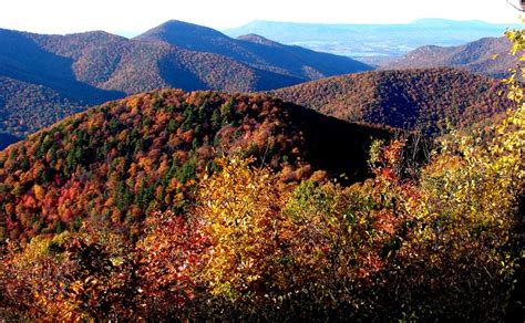 8 Places To Visit In Virginia When The Mountains Are Calling Your Name