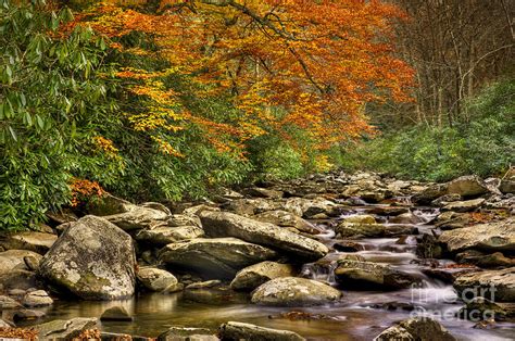 Peaceful Autumn Stream Photograph By Cheryl Davis Fine Art America