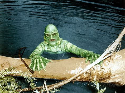 Creature From The Black Lagoon Myconfinedspace