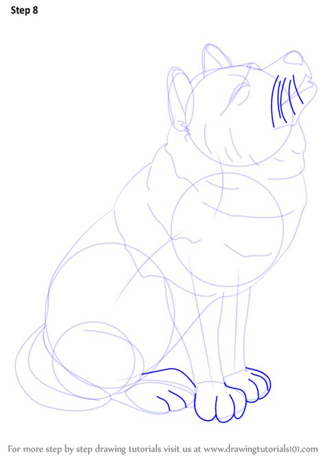 Your kid will love knowing them. Learn How to Draw a Wolf for Kids (Wild Animals) Step by ...