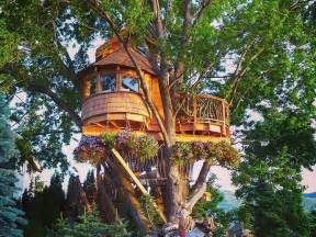In in order to live, park shines a light not just into the darkest corners of life in north korea, describing the deprivation and deception she endured and which millions of north korean people continue to endure to this day, but also onto her own most painful and difficult memories. 10 Gorgeous Tree Houses That Will Make You Want To Live In ...