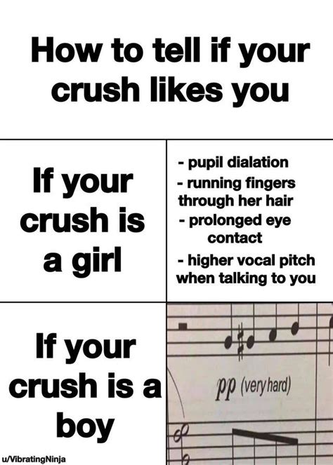 a guide to finding out if your crush likes you memes funny relatable memes funny memes