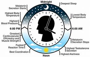 Every Day Is Special April 28 Biological Clock Day
