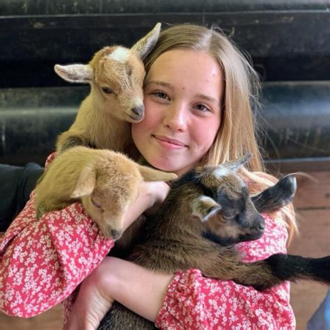 Baby Goatpiglet Socials — Aussakita Acres Farm