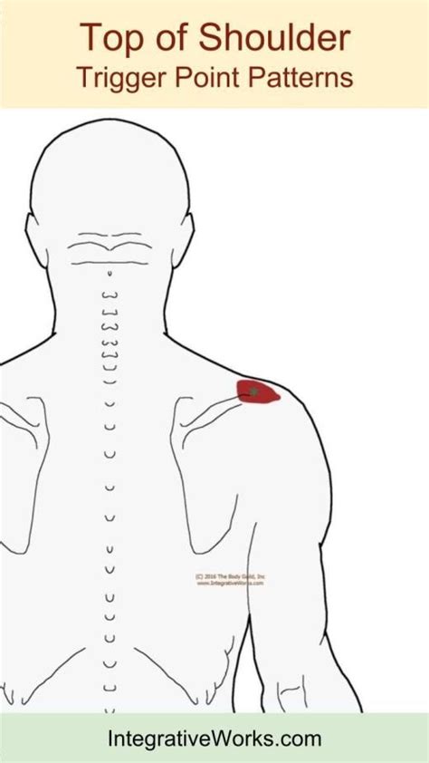 Pain At The Base Of The Head And Under Shoulder Blade