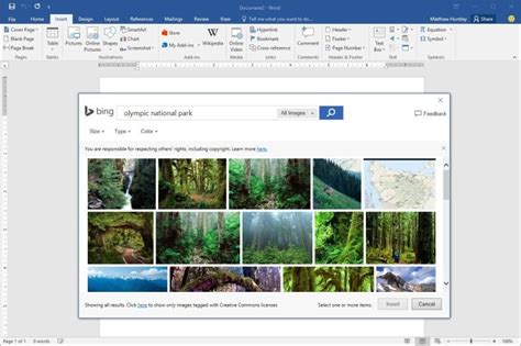 Bing Improves Image Search Functionality Online In Microsoft Office