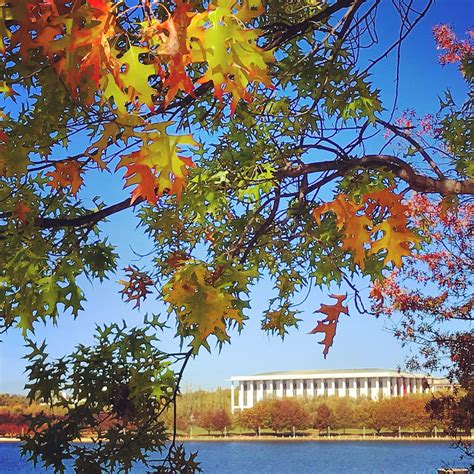 Canberra Autumn