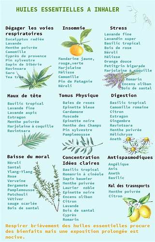 Fiches Huiles Essentielles - Bien être, santé, relaxation, massage Картинка - Fiches Huiles Essentielles - Bien être, santé, relaxation, massage
