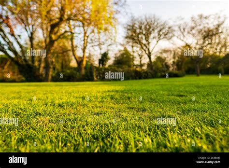 Ground Level View Cut Grass Hi Res Stock Photography And Images Alamy