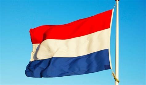 dutch flags and coat of arms 2022