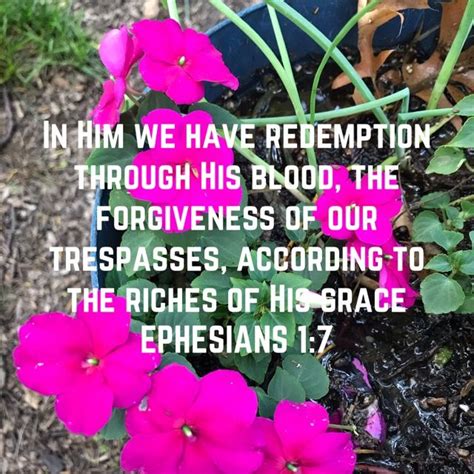 Ephesians 17 In Him We Have Redemption Through His Blood The