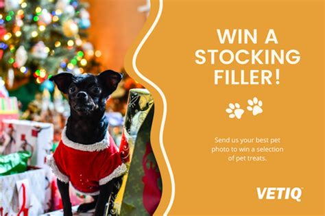 Christmas Competition For Pets 2023 Vetiq Uk
