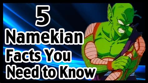 5 Namekian Facts You Need To Know Youtube