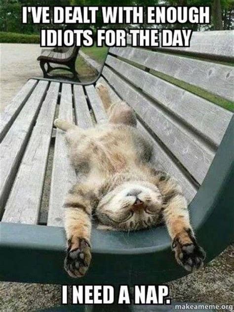 I Need A Nap Today Cute Funny Animals Naps Funny Funny Animal Memes