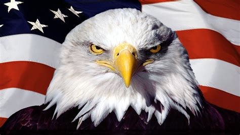 American Flag With Eagle Wallpaper Wallpapersafari Com