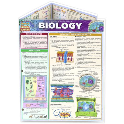 Barcharts Biology Laminated Quick Study Guide Grades 5 12 Mardel