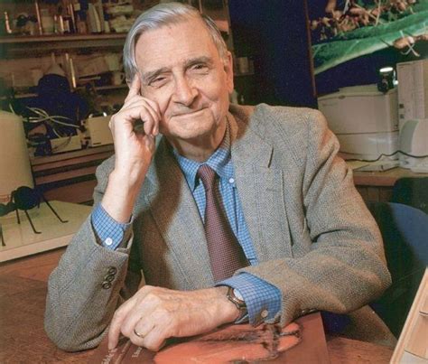 We did not find results for: Dice Edward O. Wilson que las humanidades importan más que ...